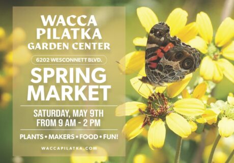 A butterfly perched on yellow flowers with text advertising Wacca Pilatka Garden Centers Spring Market on Saturday, May 9th, from 9 AM to 2 PM.