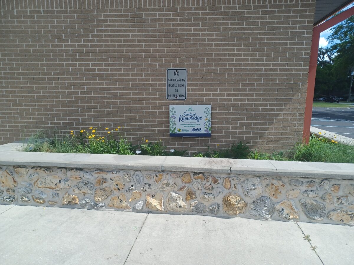 A brick wall with a No skateboarding or bicycling sign and a Seeds of Knowledge garden sign behind a stone-edged flower bed with various plants.