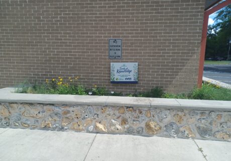 A brick wall with a No skateboarding or bicycling sign and a Seeds of Knowledge garden sign behind a stone-edged flower bed with various plants.