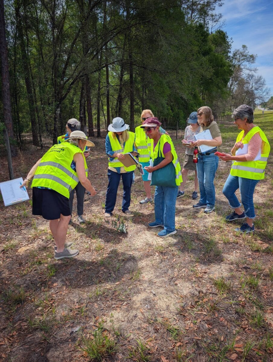 A group of people wearing yellow safety vests is training as roadside wildflower watchers. 