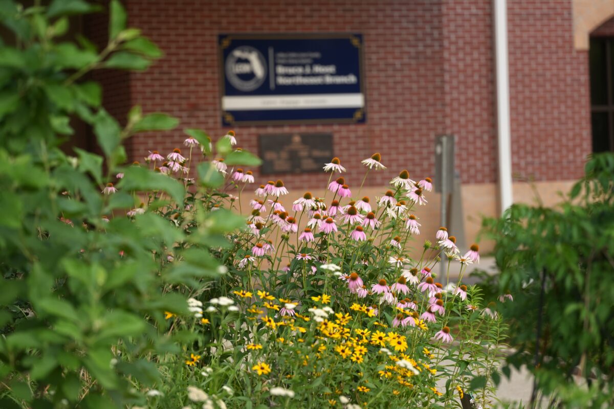 Wildflowers with yellow, white, and pink blooms grow in front of a brick building with a blurred sign in the background.