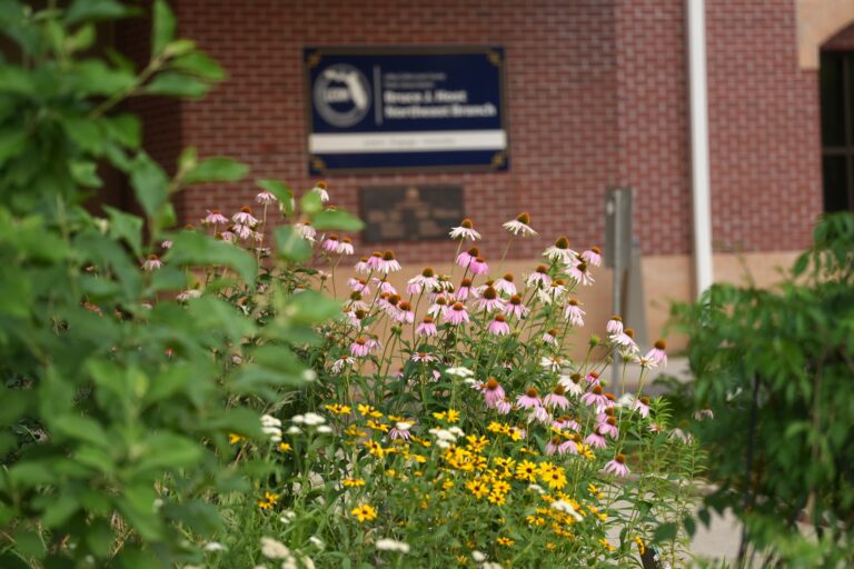 Wildflowers with yellow, white, and pink blooms grow in front of a brick building with a blurred sign in the background.
