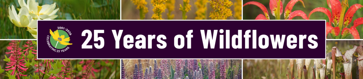 Banner showing various wildflowers with the text 25 Years of Wildflowers in bold white letters on a purple background.