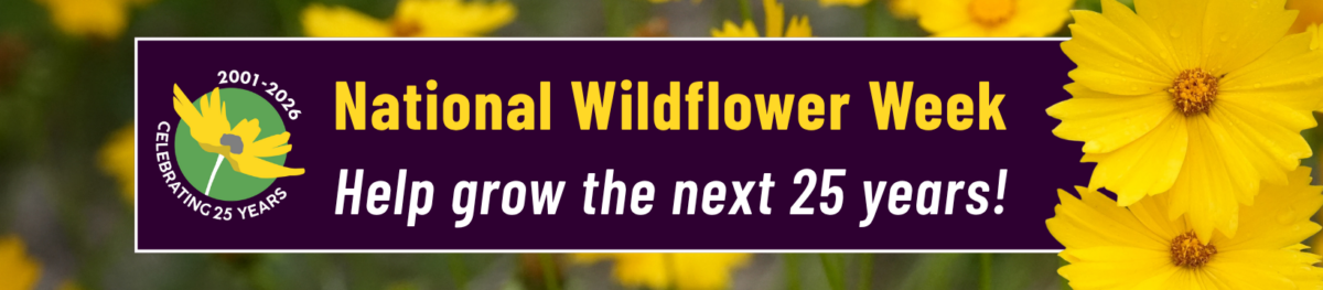 Banner for National Wildflower Week with yellow flowers and a logo reading Celebrating 25 Years, 2001-2026. Text: Help grow the next 25 years!.