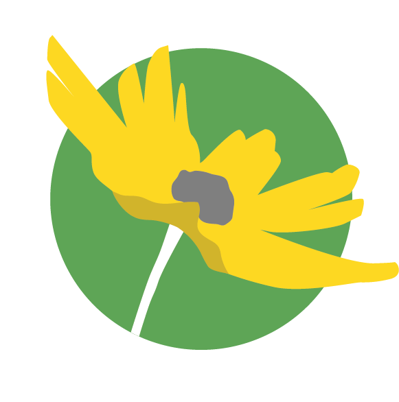 Stylized yellow flower with green circle background; text around reads 2001–2026 Celebrating 25 Years.