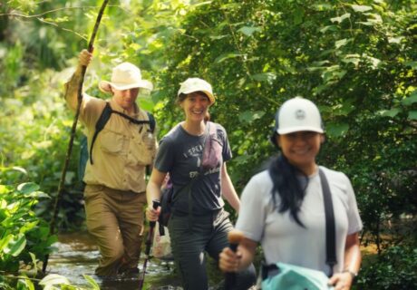 Three people wearing hats and outdoor clothing hike through a lush, green forest with shallow water underfoot.