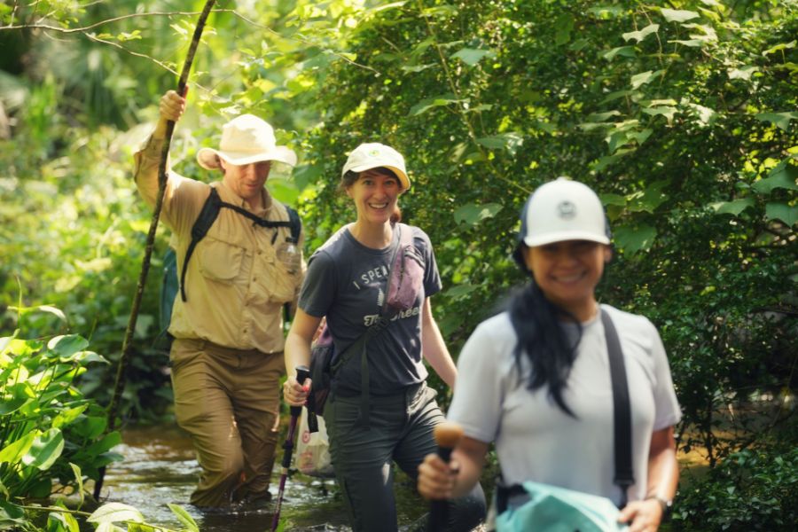 Three people wearing hats and outdoor clothing hike through a lush, green forest with shallow water underfoot.