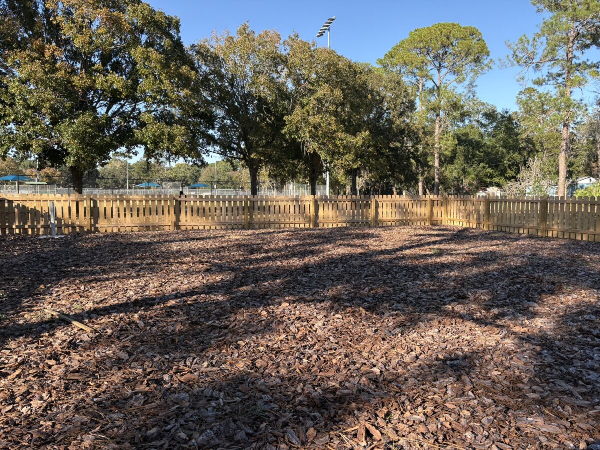 A fenced outdoor area covered with wood chips, surrounded by trees under a clear blue sky.