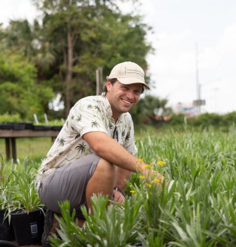 A man wearing a cap and patterned shirt crouches in a garden, surrounded by green plants, with trees and a cloudy sky in the background.