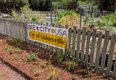 A wooden fence with a BEE CITY USA City of Gainesville sign surrounds a garden with various plants and trees under a partly cloudy sky.