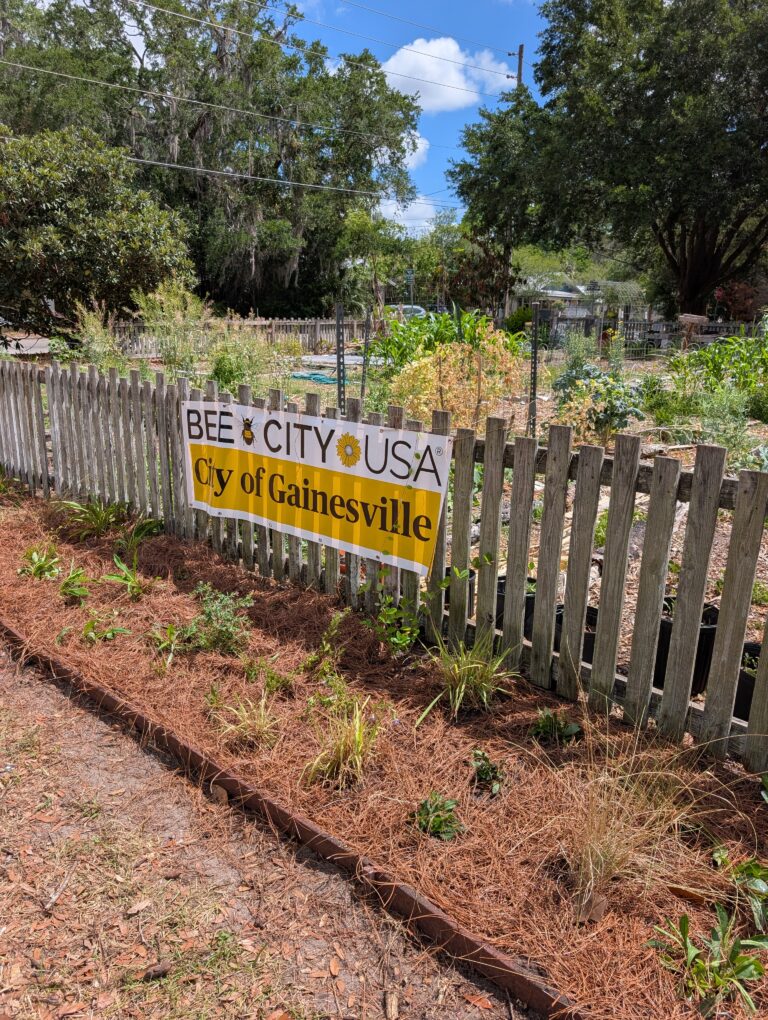 A wooden fence with a BEE CITY USA City of Gainesville sign surrounds a garden with various plants and trees under a partly cloudy sky.