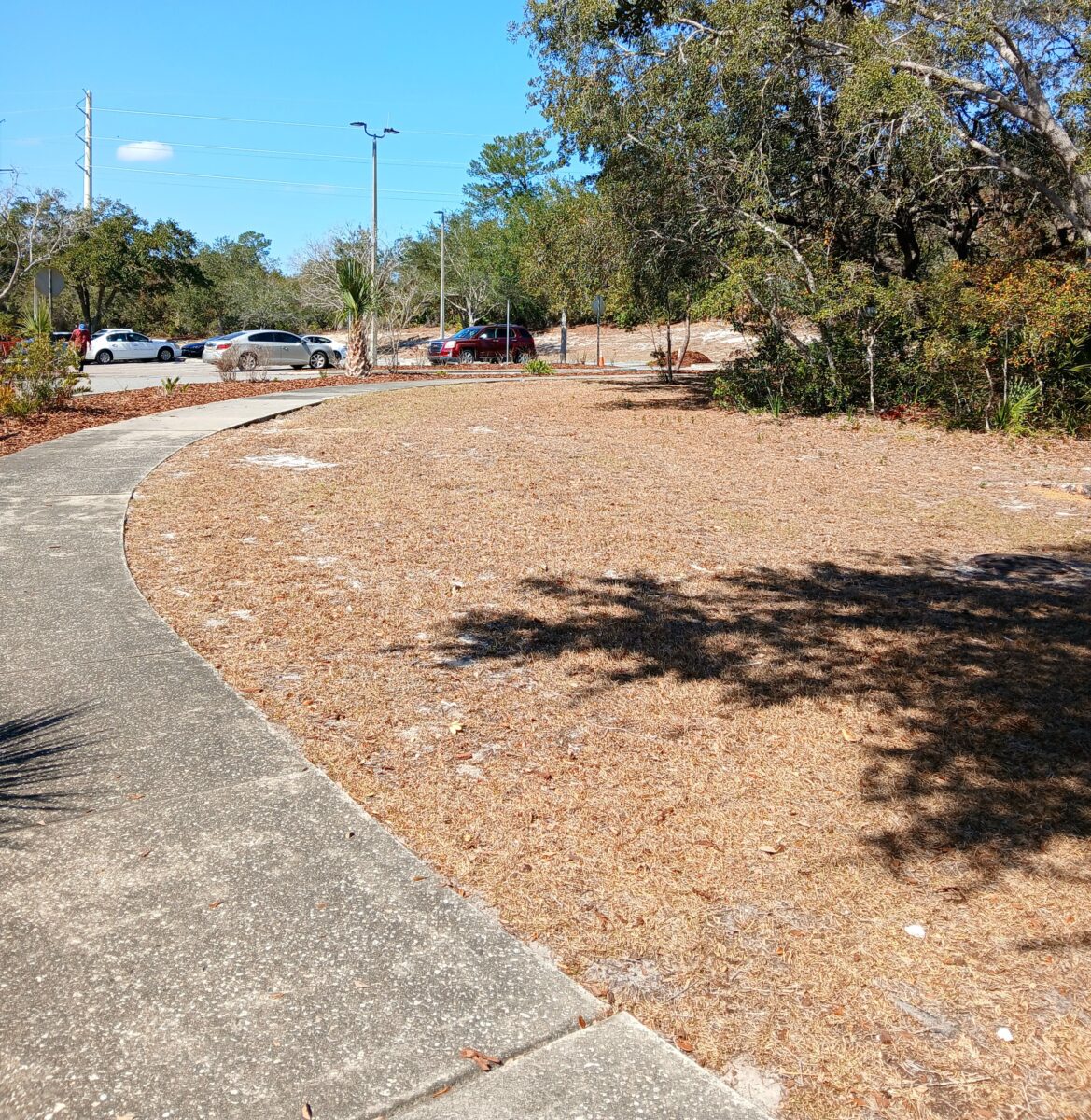 A curved sidewalk borders a dry, brown grassy area with scattered trees; several cars are parked in the background under a clear blue sky.