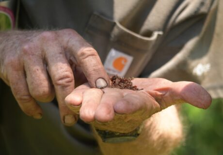 A person holds a small pile of brown mulch in one hand while pointing to it with the other hand; their clothes are work-stained.