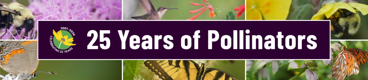 Banner reads “25 Years of Pollinators” with images of bees, butterflies, and a hummingbird surrounding the text. A circular logo with a flower is also present.