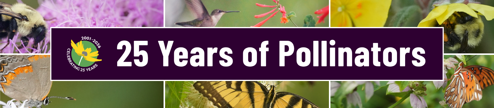 Banner reads “25 Years of Pollinators” with images of bees, butterflies, and a hummingbird surrounding the text. A circular logo with a flower is also present.