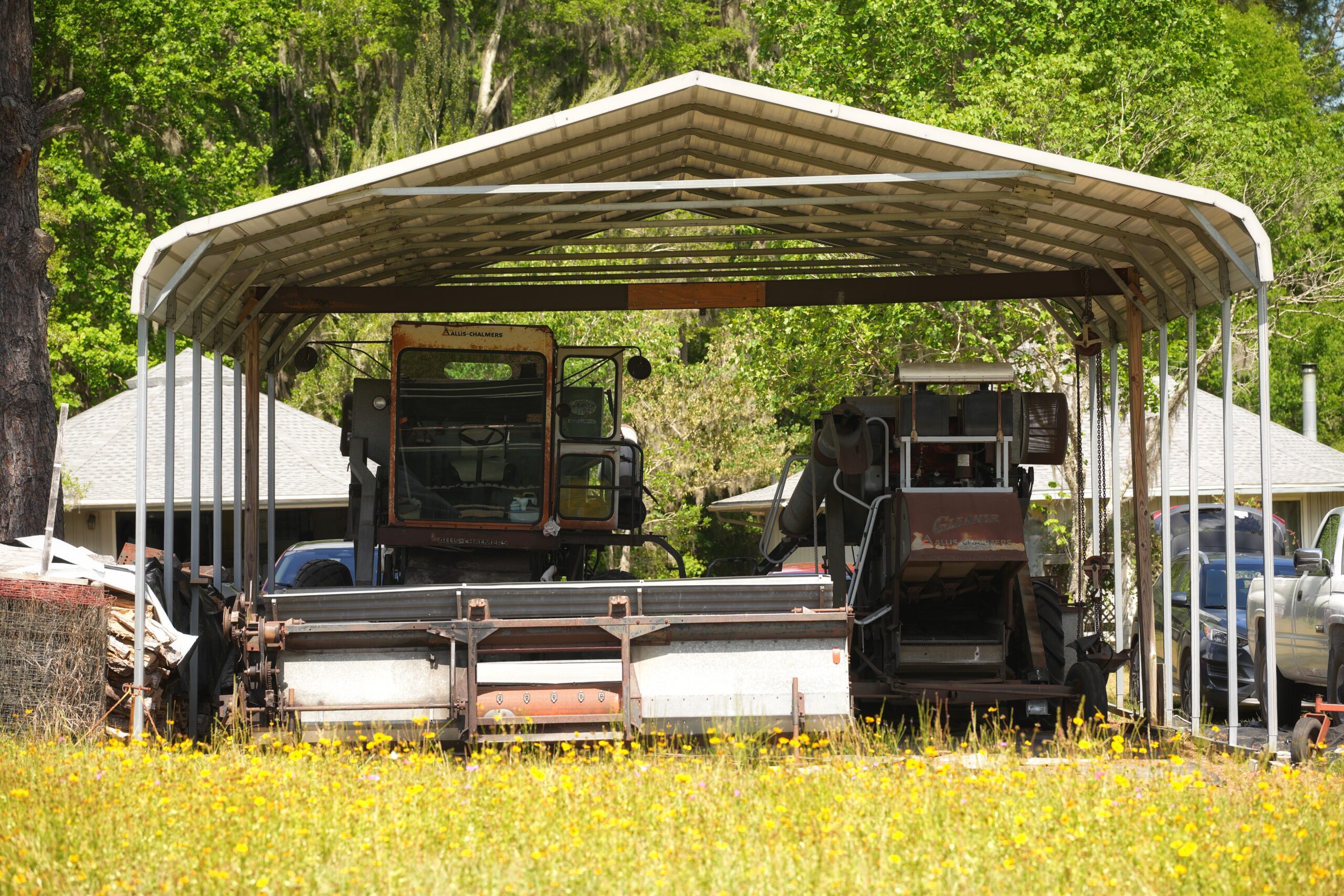 Two old combine harvesters are parked side by side under a metal-roofed shelter near a house, with wildflowers growing in the foreground.