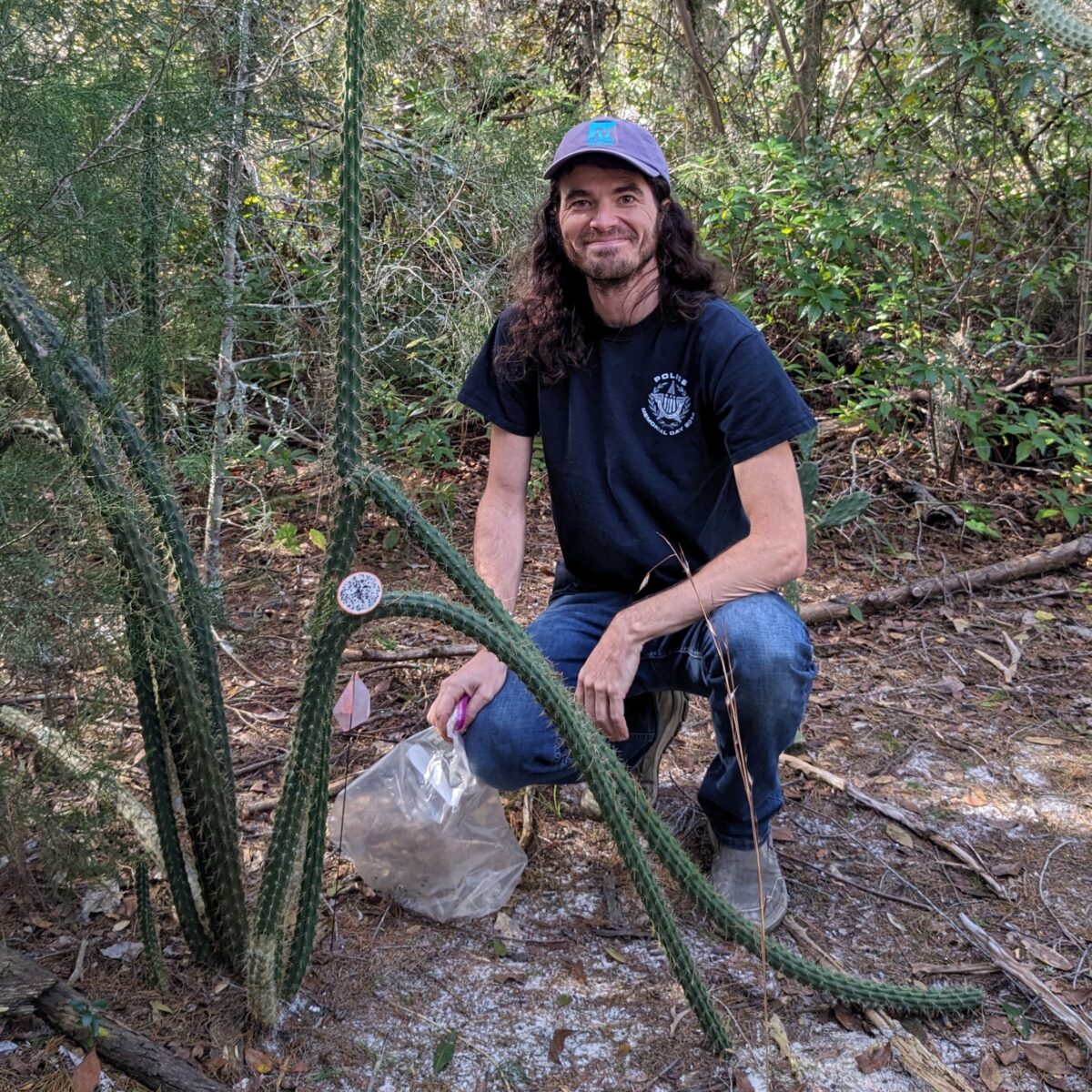 A person in a black t-shirt and cap kneels next to a tall, thin cactus in a wooded area, holding a plastic bag.