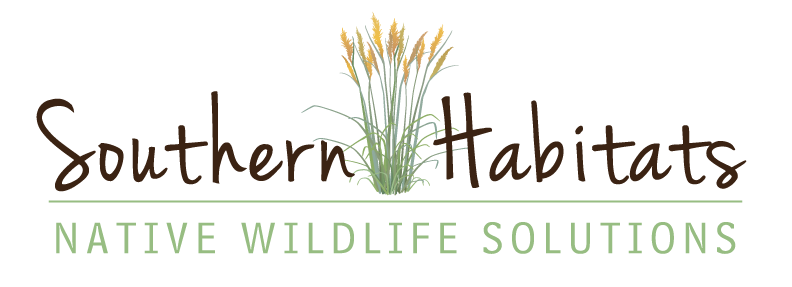 Logo for Southern Habitats with grass illustration between the words; tagline below reads Native Wildlife Solutions in green capital letters.