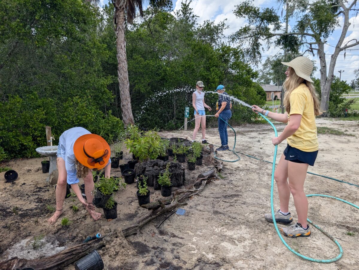 Planting the Viva Florida garden at Babson park.