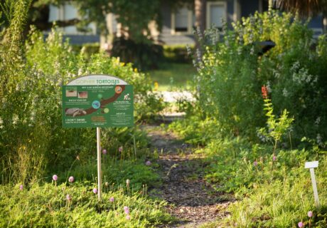 Native plant demonstration garden supported by Viva Florida grant.