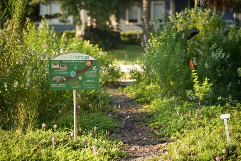Native plant demonstration garden supported by Viva Florida grant.