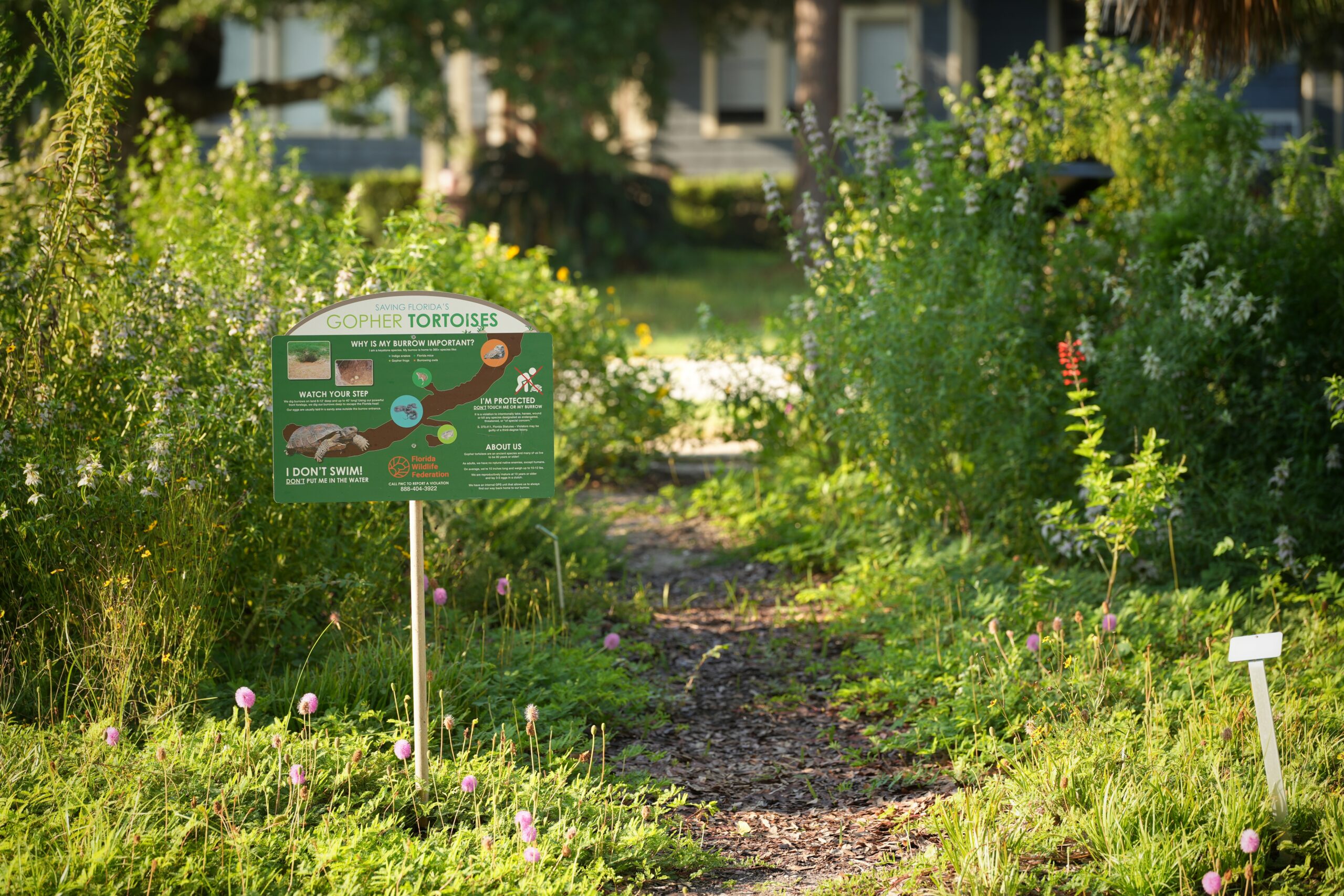 Native plant demonstration garden supported by Viva Florida grant.
