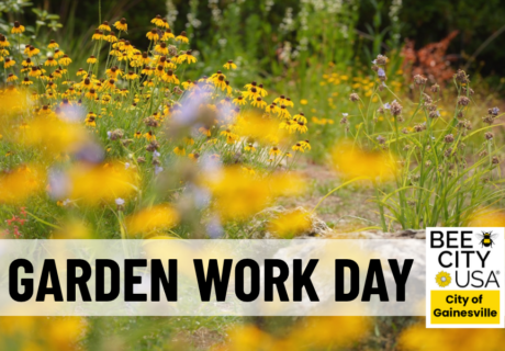 Wildflowers bloom in a garden with a Garden Work Day banner and Bee City USA, City of Gainesville logos in the foreground.