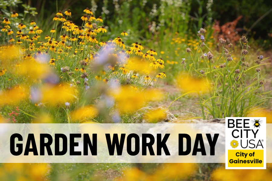 Wildflowers bloom in a garden with a Garden Work Day banner and Bee City USA, City of Gainesville logos in the foreground.