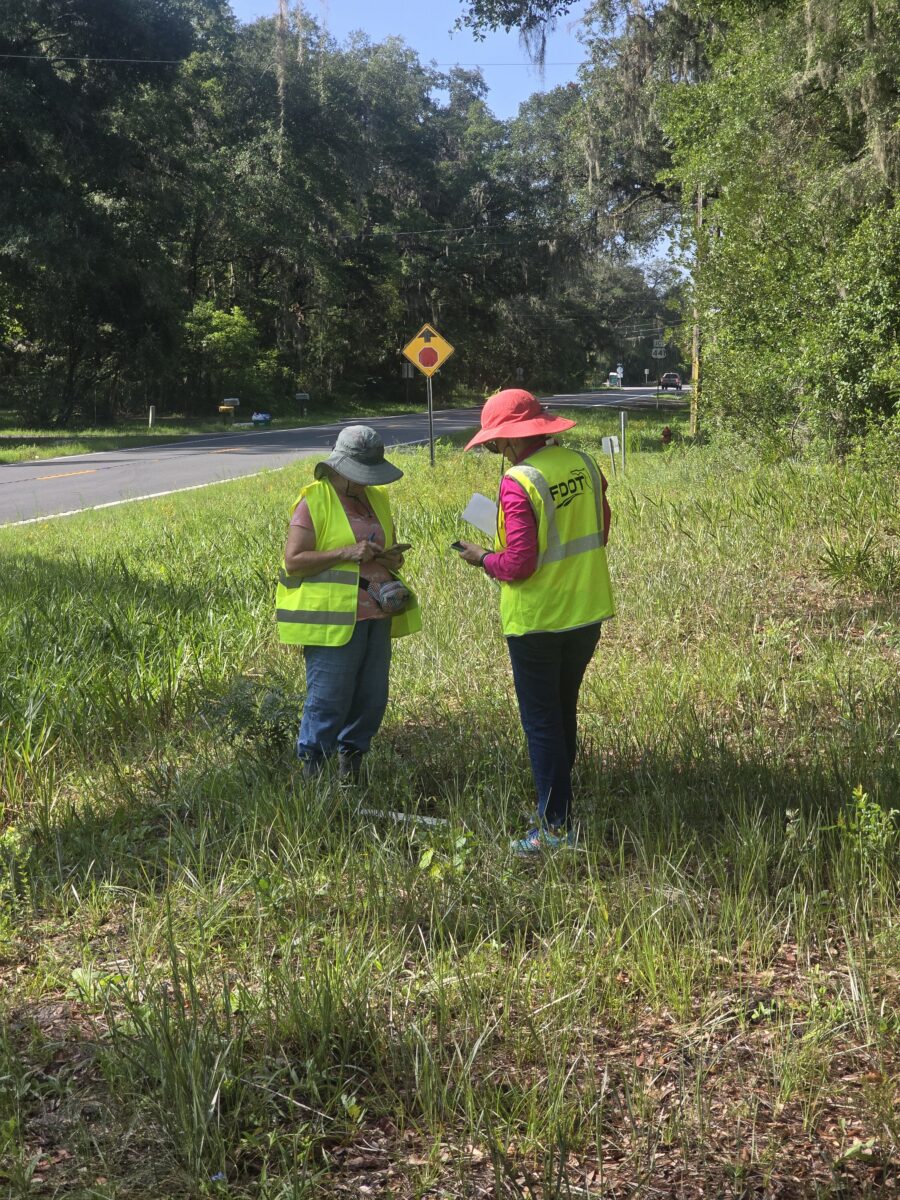 Wildflower Watcher volunteers collecting data on a roadside.