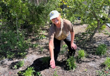 A person in a cap and brown shirt bends down, smiling, and gestures toward small plants in a sunny, outdoor garden area.