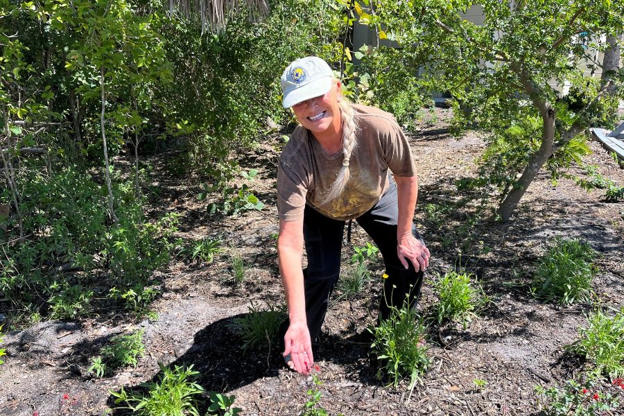 A person in a cap and brown shirt bends down, smiling, and gestures toward small plants in a sunny, outdoor garden area.