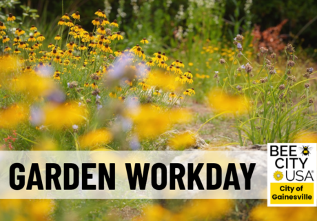 A field of yellow and purple wildflowers with a Bee City USA: Garden Workday, City of Gainesville sign in the foreground.