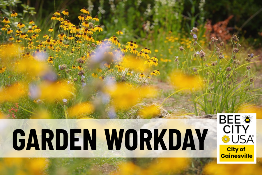 A field of yellow and purple wildflowers with a Bee City USA: Garden Workday, City of Gainesville sign in the foreground.