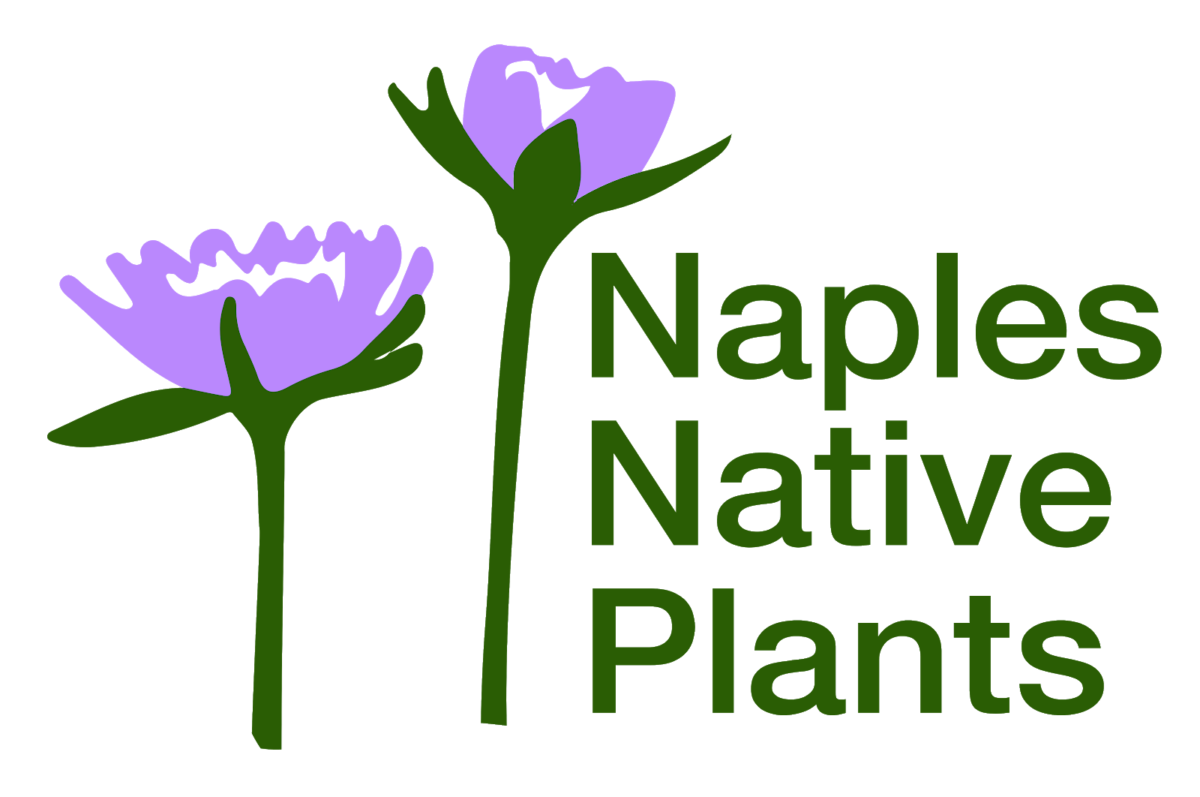 Two purple flowers with green stems next to the words Naples Native Plants in green text on a white background.