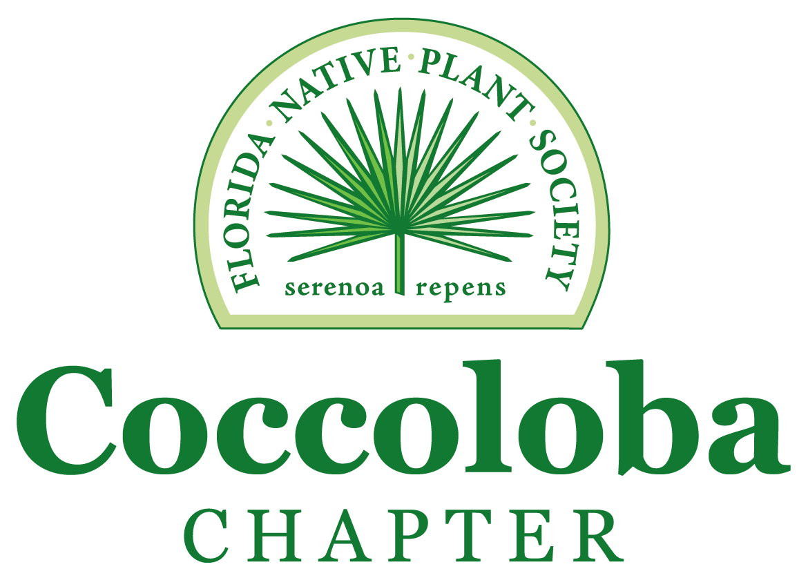 Logo for the Florida Native Plant Society Coccoloba Chapter, featuring a stylized green palm leaf and the words serenoa repens..