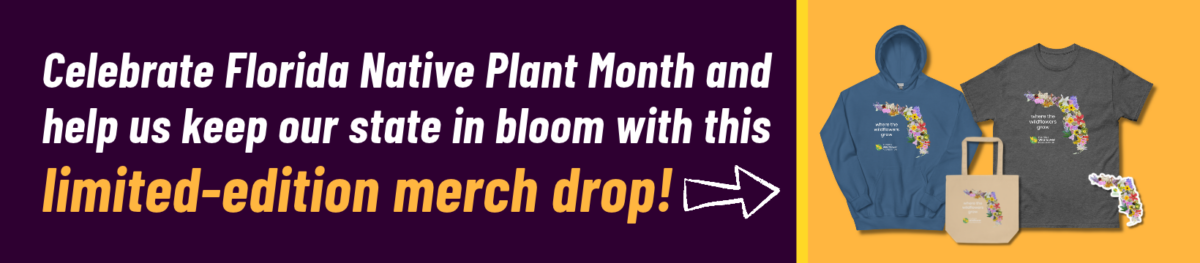 Promotional graphic for Florida Native Plant Month featuring a hoodie, t-shirt, tote bag, and sticker, all displaying a floral outline of Florida.