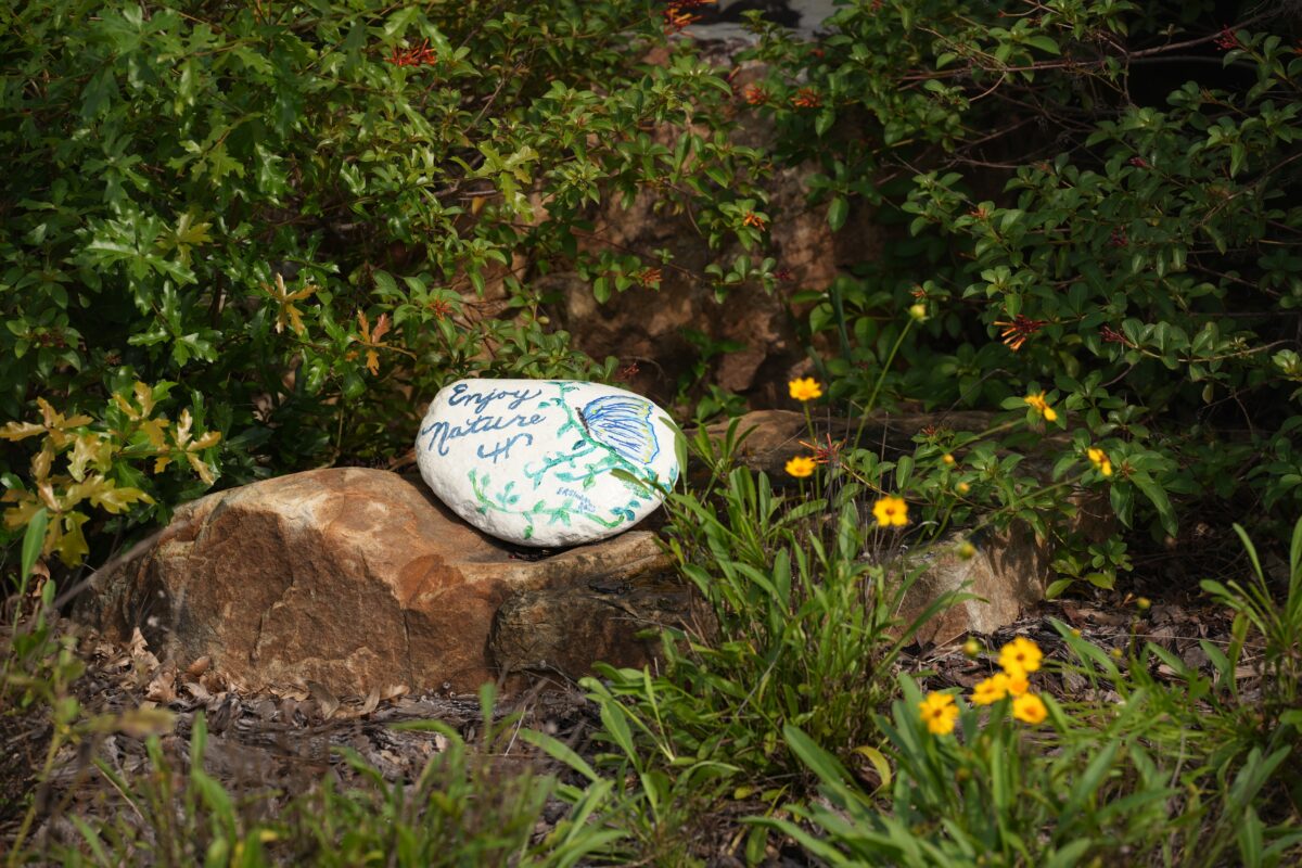 Firebush and Tickseed bloom around a beautifully painted rock at the Carrollwood Cultural Center.