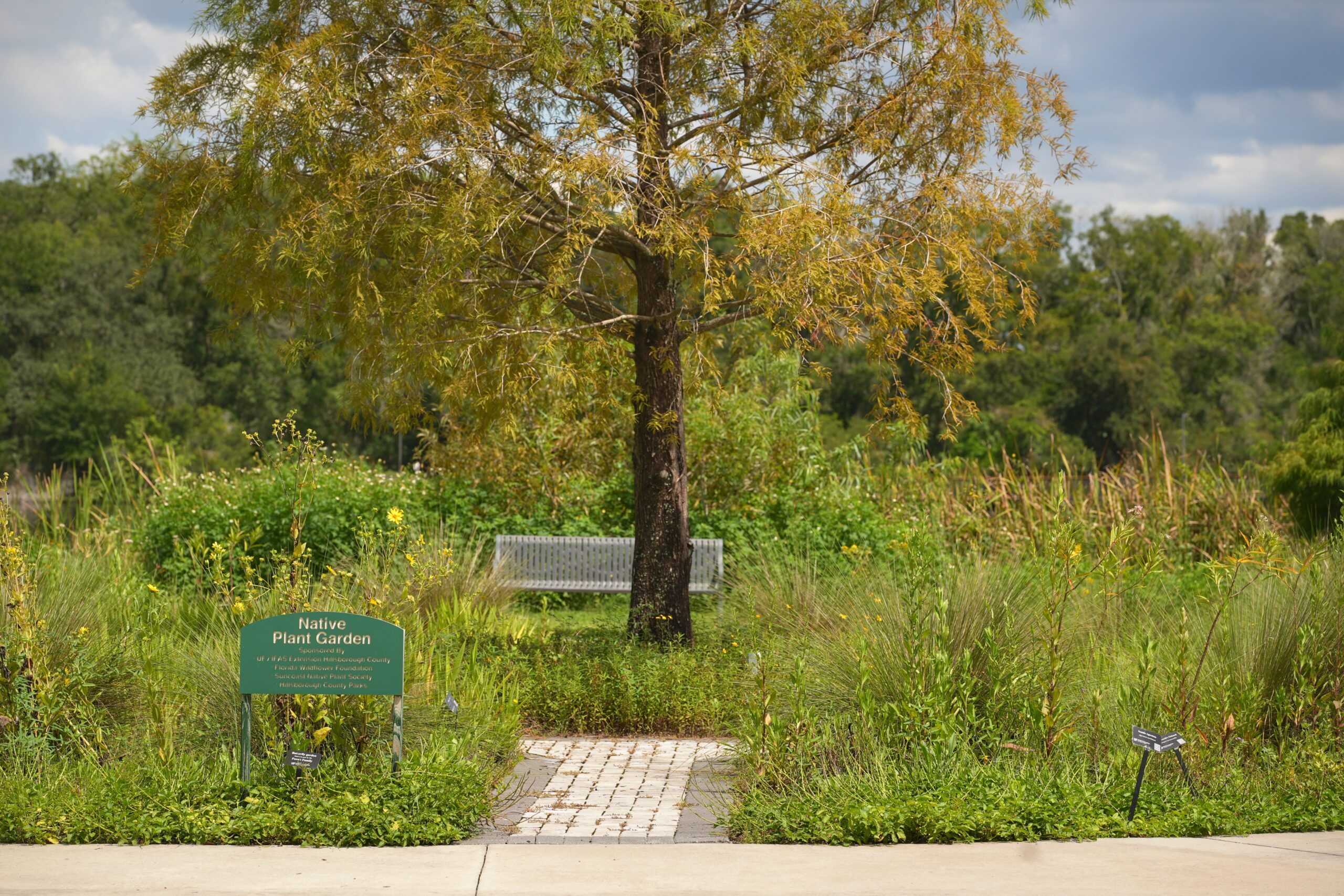 Native plant demonstration garden at Carrollwood Village Park.